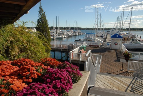 Wentworth by the Sea Marina