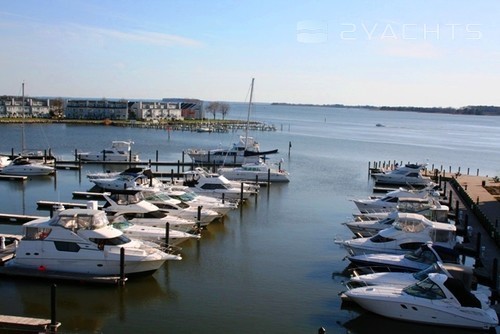 Wells Cove Marina-Kent Narrows