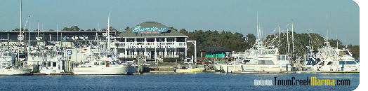 Town Creek Marina