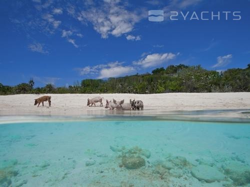 Staniel Cay Yacht Club