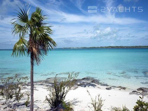 Staniel Cay Yacht Club