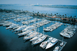 Shelter Island Marina