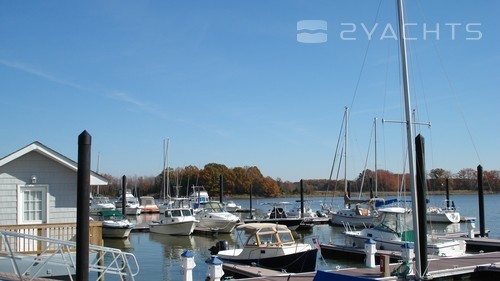 Queen Anne Marina