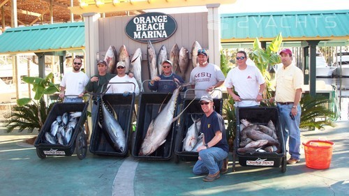 Orange Beach Marina