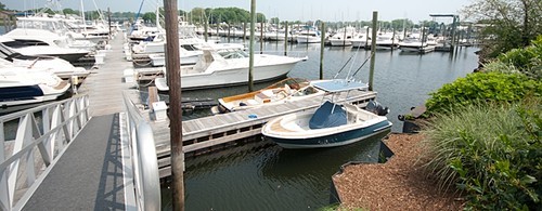 Norwalk Cove Marina, Inc