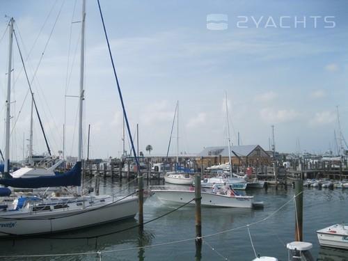 Key West Bight Marina