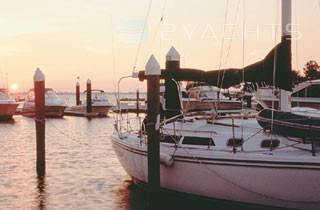 Gulf Harbour Marina