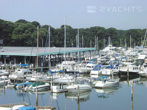 Georgetown Yacht Basin