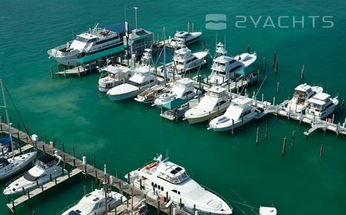 Conch Harbor Marina