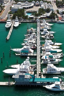 Conch Harbor Marina