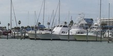 Clearwater Beach Marina