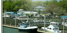 Bridge Tender Marina