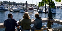 Borden Light Marina