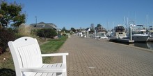 Bay Bridge Marina