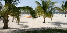 Abaco Beach Resort and Boat Harbour Marina