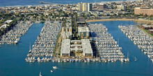 Dolphin Marina