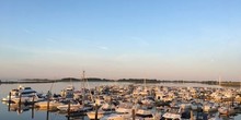 Cedar Island Marina