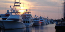 The Harborage at Ashley Marina