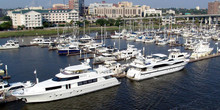 The Harborage at Ashley Marina