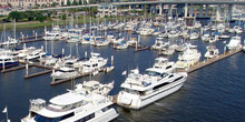 The Harborage at Ashley Marina