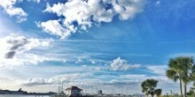 Charleston Harbor Marina