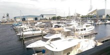 Ocean Yacht Marina