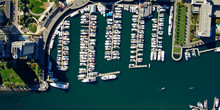 Coal Harbour Marina