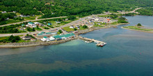 Aulds Cove Harbour Marina