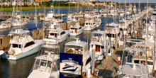 Charleston City Marina