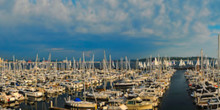 Elliott Bay Marina