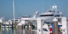 Harbour Island Club & Marina