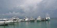 Harbour Island Club & Marina