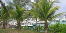 Harbour Island Club & Marina