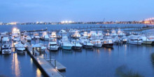 Loggerhead Marina Stuart