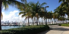 Miami Beach Marina