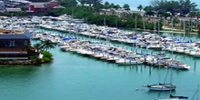 Rickenbacker Marina