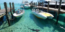 Staniel Cay Yacht Club