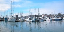 Charleston Marina on Coos Bay