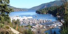 Maple Bay Marina