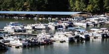 Swann’s Marina