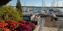 Wentworth by the Sea Marina