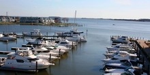 Wells Cove Marina-Kent Narrows