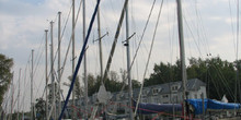 Sailing club Vodnik