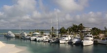 Guy Harvey Outpost Rum Cay