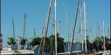 Safe Harbour Marina