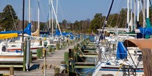 Regent Point Marina