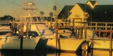 Port St. Joe Marina