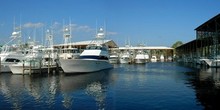 Orange Beach Marina