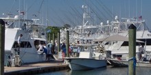 Morehead City Yacht Basin