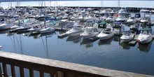 Half Moon Bay Marina